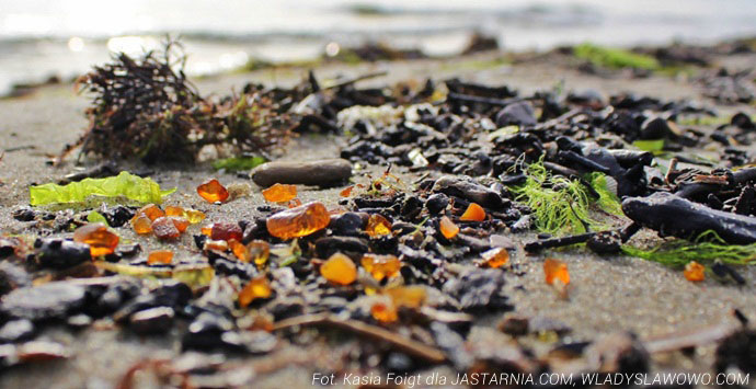 Bryłka bursztynu na plaży po sztormie