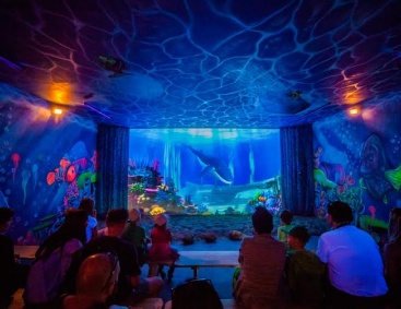 Ocean Park  