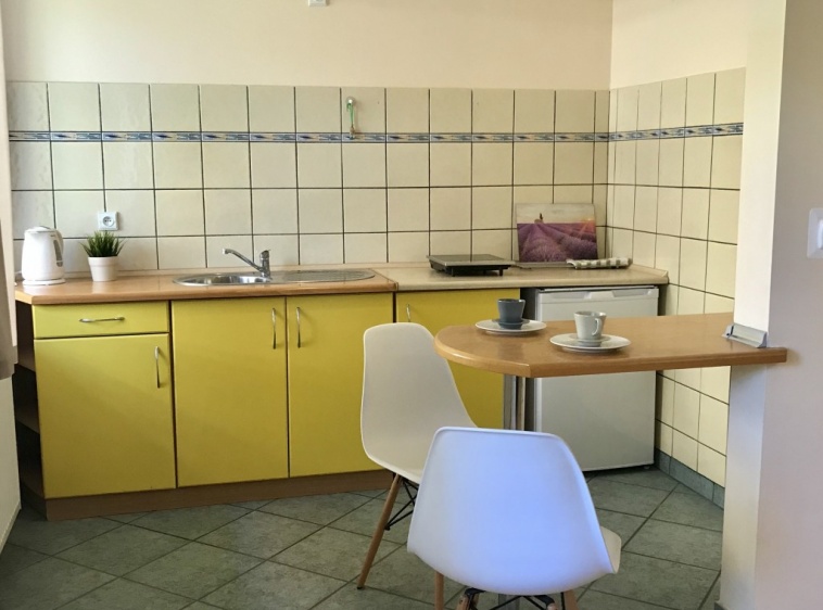 Apartamenty i Pokoje Gościnne Maria Kaleta Studio nr 5 aneks kuchenny