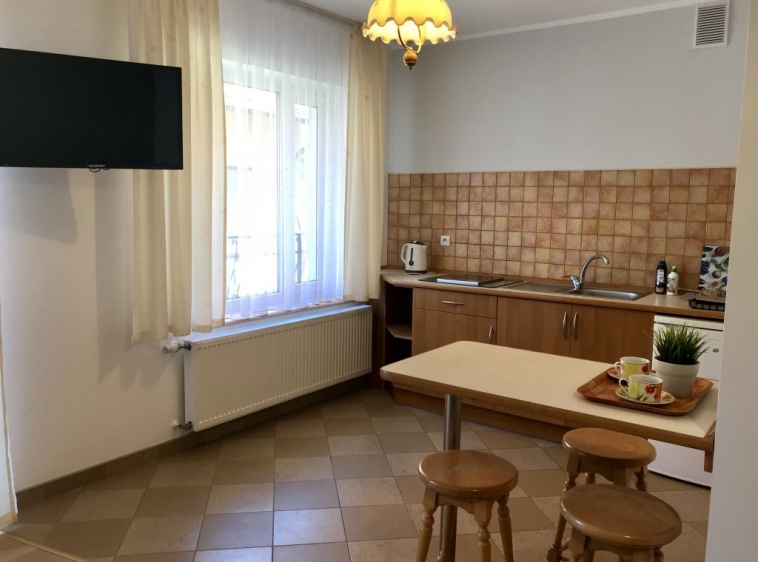 Apartamenty i Pokoje Gościnne Maria Kaleta Apartament nr 6 aneks kuchenny