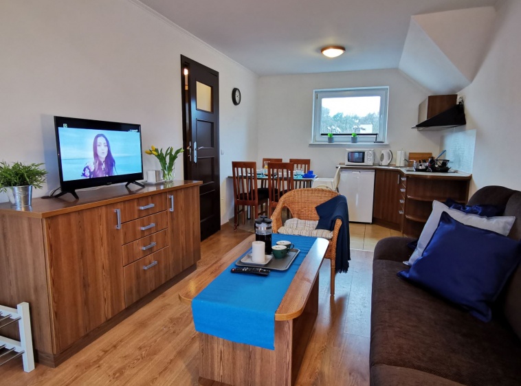 Apartamenty i pokoje Skrzypkowscy.plApartament