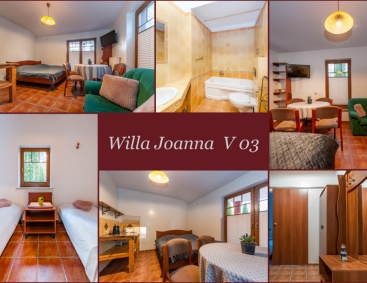 Detlafówka Willa Joanna V 03 pokój z łazienką, sypialnią i aneksem kuchennym oraz wyjściem na taras