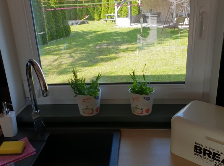 Apartamenty AMALIA APARTAMENT 2