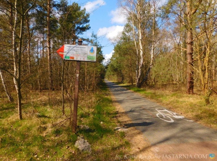 Uroczysko Każa - ścieżka przyrodnicza w Kuźnicy