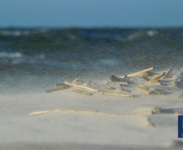 Dębki - ruch piasku podczas sztormu