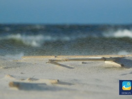 Dębki - silny wiatr wprawia piasek w ruch