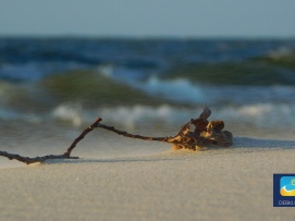 Dębki - ruchome piaski podczas silnych wiatrów