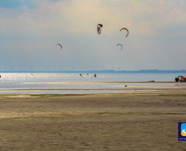 Kitesurferzy na zatoce.