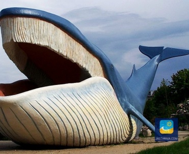 Ocean Park we Władysławowie 20 km od Jastarni.