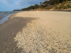 plaża między Karwią a Jastrzębią Górą ok 30 min spacerem od Karwi. Już zaczynają się drobne kamyki...