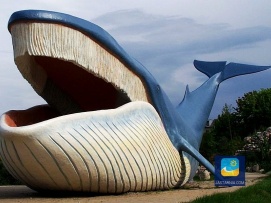 Ocean Park we Władysławowie, jedyne 15 km. od Karwi.